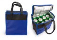 /album/bolsos/bo0073-lonchera-t%c3%a3%c2%a9rmica-valley-jpg/